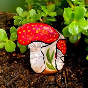 Mushroom 🍄 Garden Rock 🪴